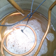 Illustration for article titled Double Pink Pepperberry brew day